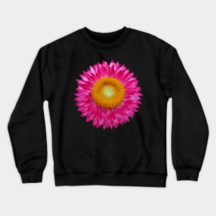 wonderful pink flower, blossom, nature, aster Crewneck Sweatshirt